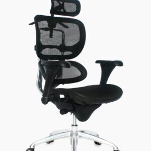 ERGOHUMAN LUJO PRESIDENTE  MARCO NEGRO 3870