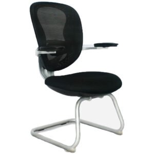 BERLIN PLATA INTERLOCUTORA