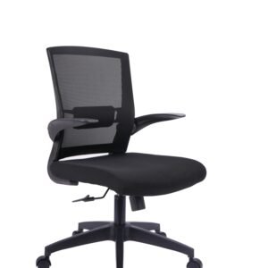 SILLA ERGONOMICA GERENTE LOURDES 3791