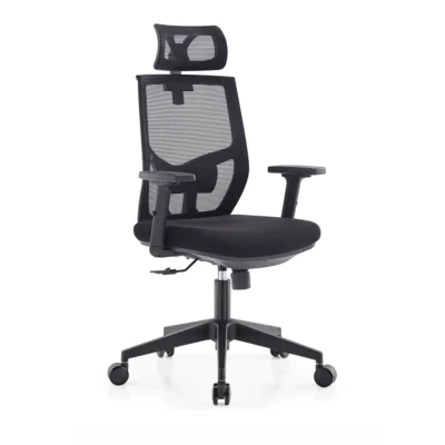 Silla Oporto presidente