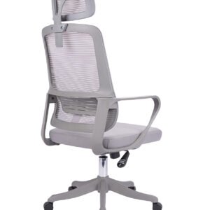 MONTECARLO PRESIDENTE #2 MARCO GRIS