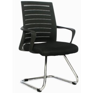 TORONTO INTERLOCUTORA