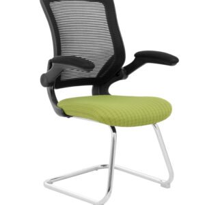 ATENAS INTERLOCUTORA