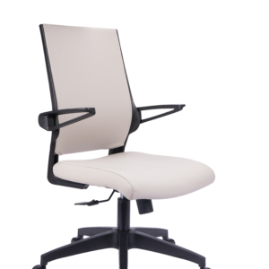ESTRASBURGO GERENTE GRIS 30848